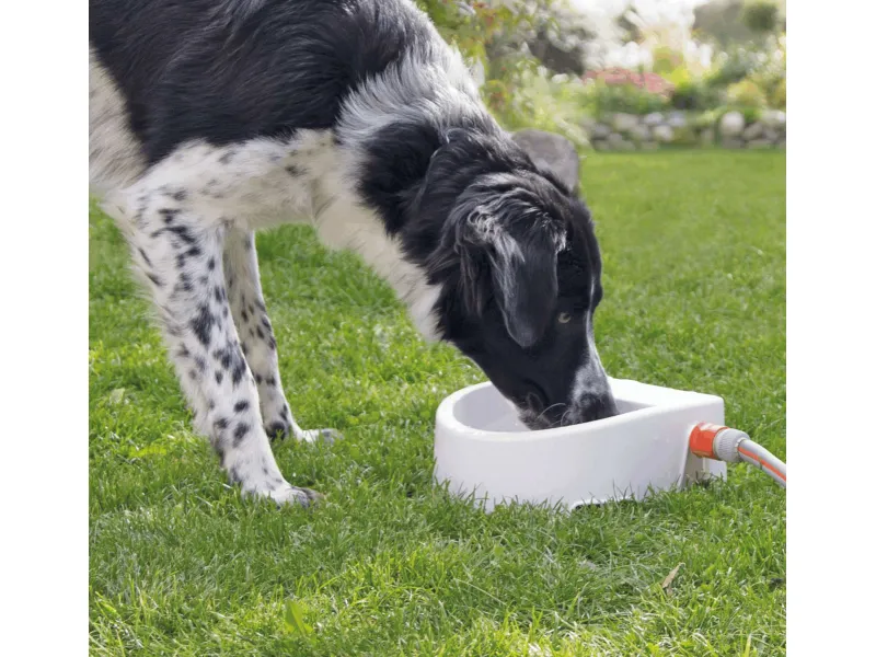Trixie Automatisk Vattenskål med Flottör – 1,5 liter