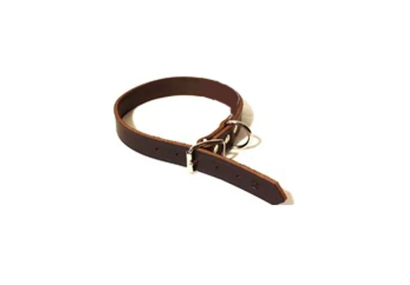 ALAC - 18mm x 40-55cm Läderhalsband