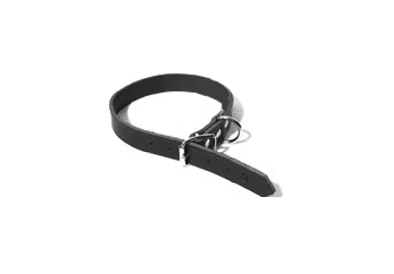 ALAC - 18mm x 40-55cm Läderhalsband